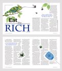 Editorial spread